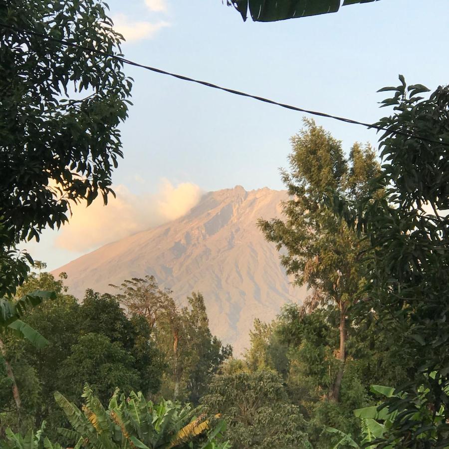 Arusha Holiday Safari Экстерьер фото