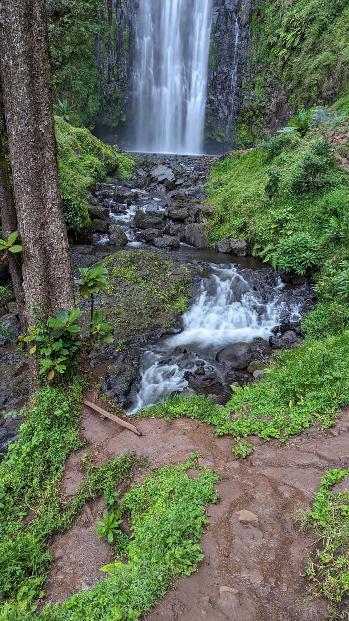 Arusha Holiday Safari Экстерьер фото