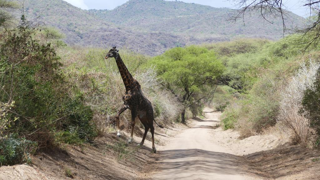 Arusha Holiday Safari Экстерьер фото