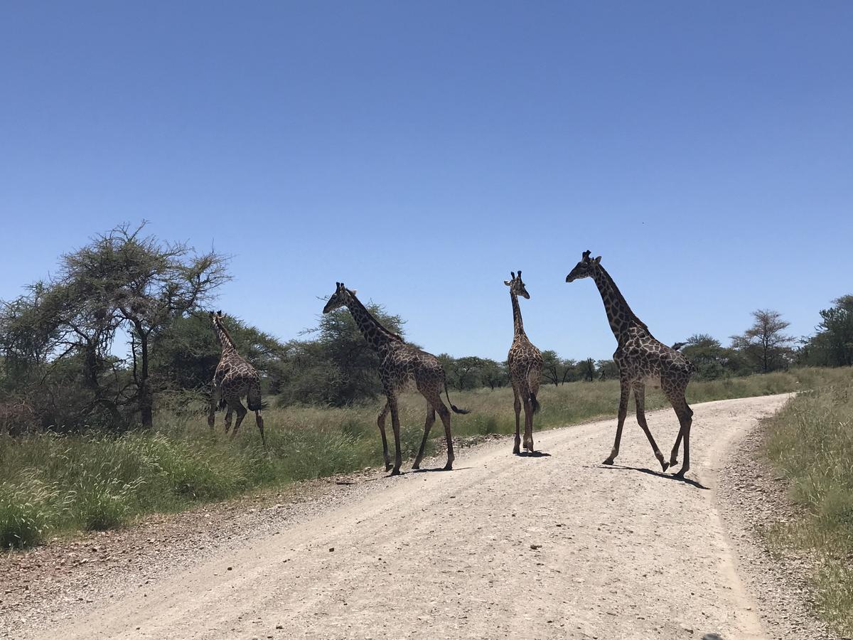 Arusha Holiday Safari Экстерьер фото